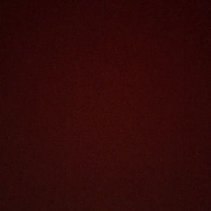 Meet your Posher, Dan